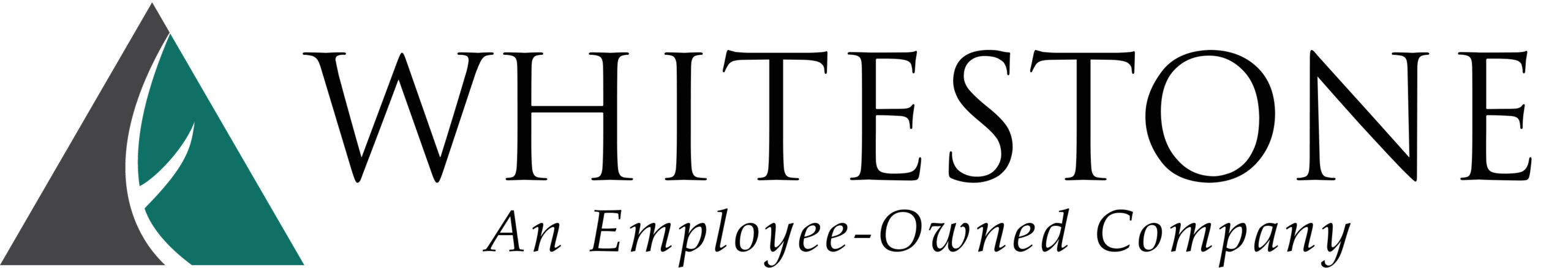 WAI Logo 2021-(with Tagline)